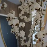 Appartement Cosy 2 Ch Avec Toit Terrasse & Parking - Lumineux Et Calme Les Sables-dʼOlonne