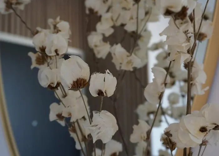 Appartamento Cosy 2 Ch Avec Toit Terrasse & Parking - Lumineux Et Calme Les Sables-dʼOlonne